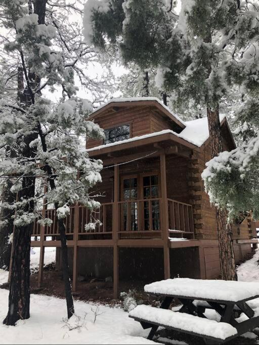 Forest Cabin 2 Birds Nest Payson Ngoại thất bức ảnh